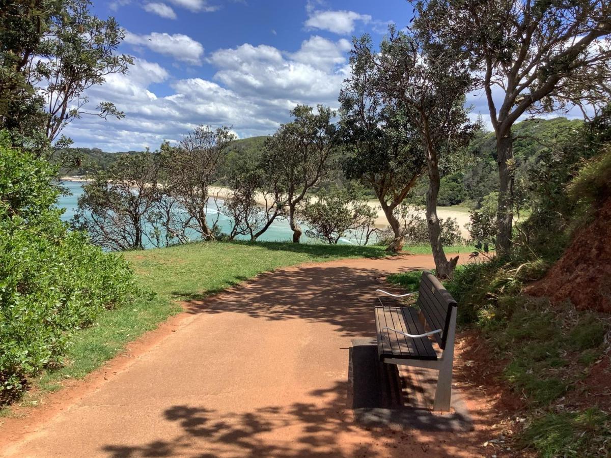 Chasing George Port Macquarie