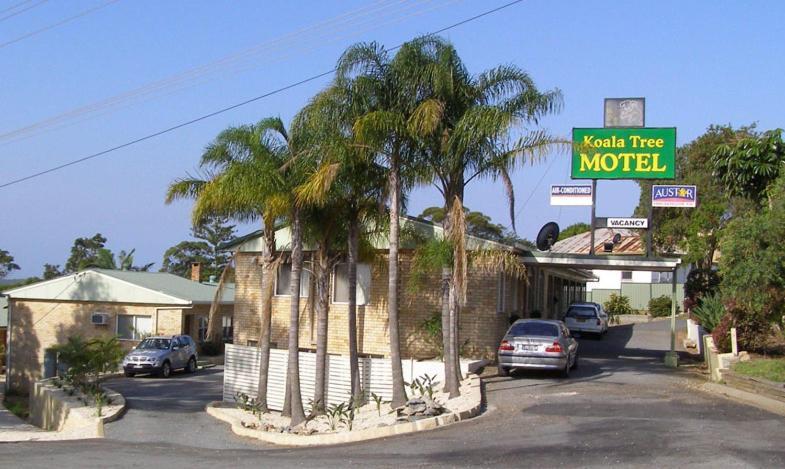 Koala Tree 4*
