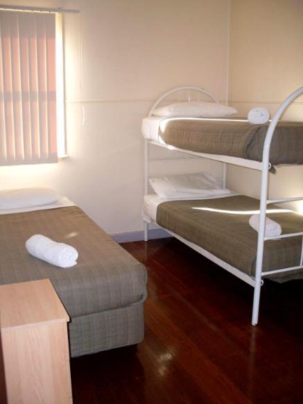 Koala Tree Motel