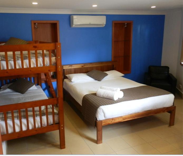 Koala Tree 4*