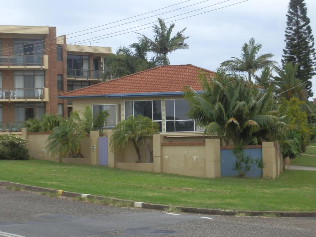 Koala Tree 4*