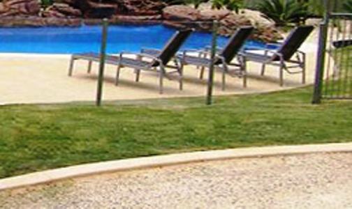 Koala Tree Motel Port Macquarie