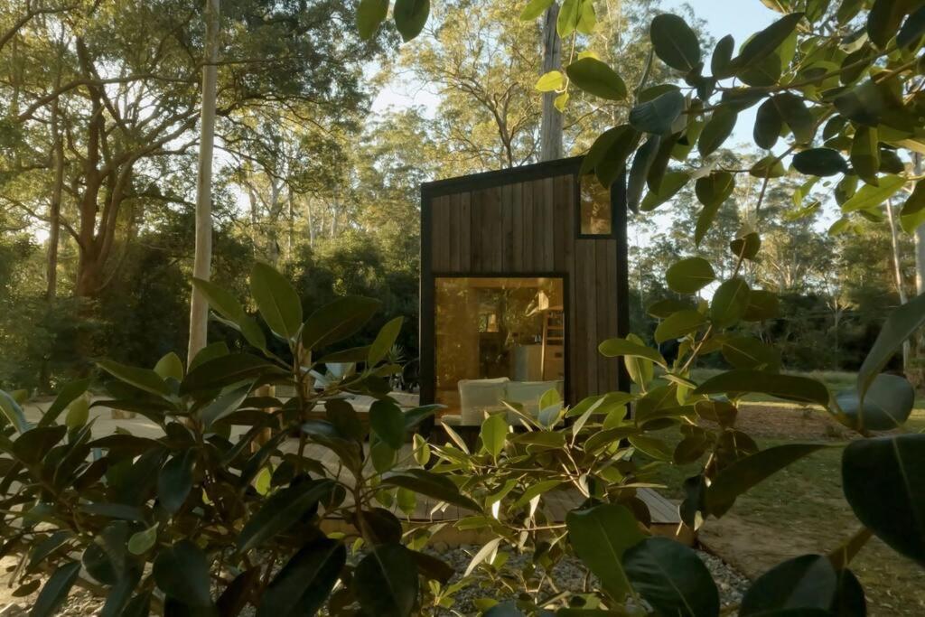 A Tamed Wilderness Apartment *
