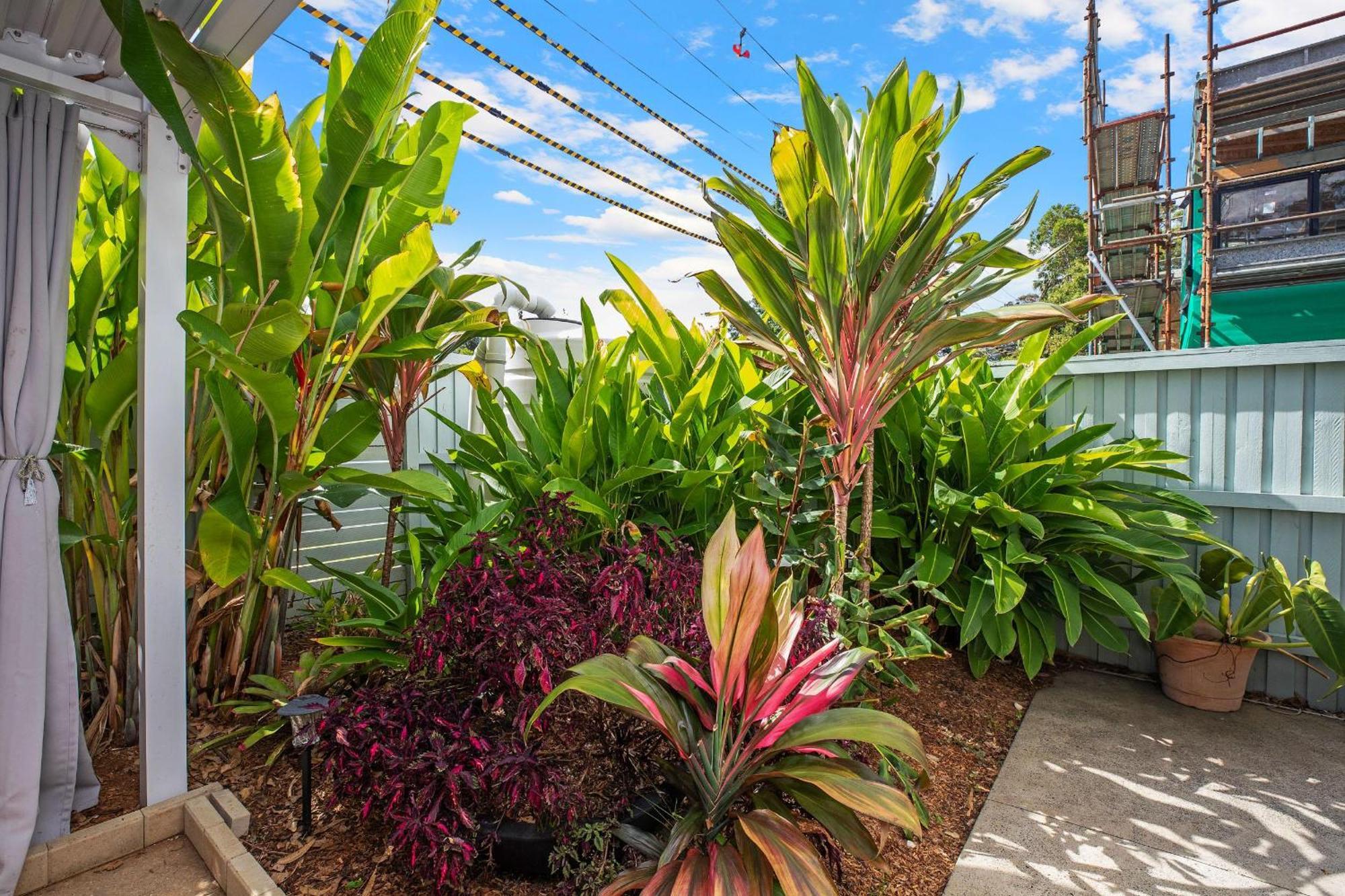 41a Orr Street Holiday home Port Macquarie