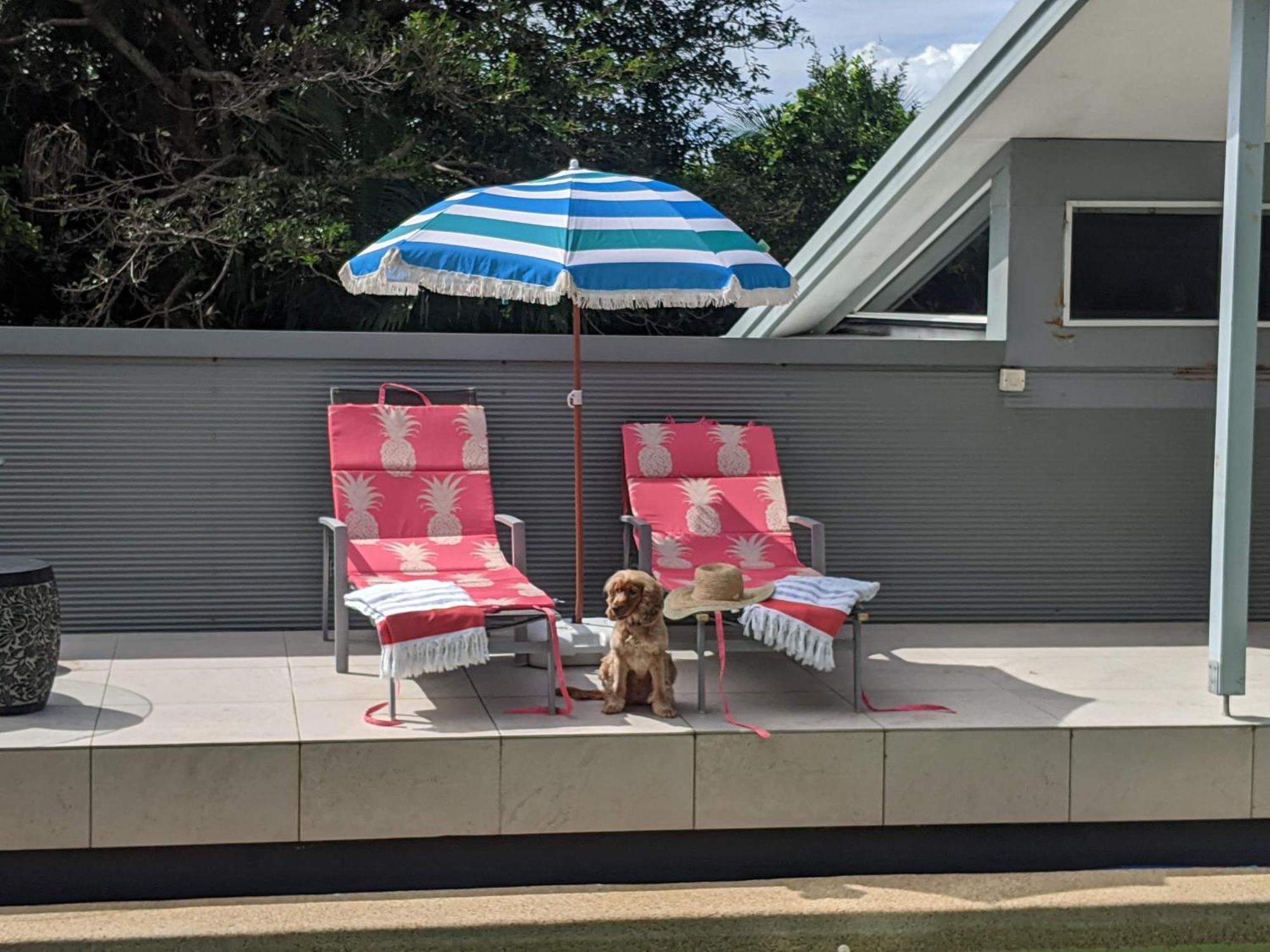 Phoenix Oasis, Family And Pet Friendly, With Private Pool And Port Macquarie
