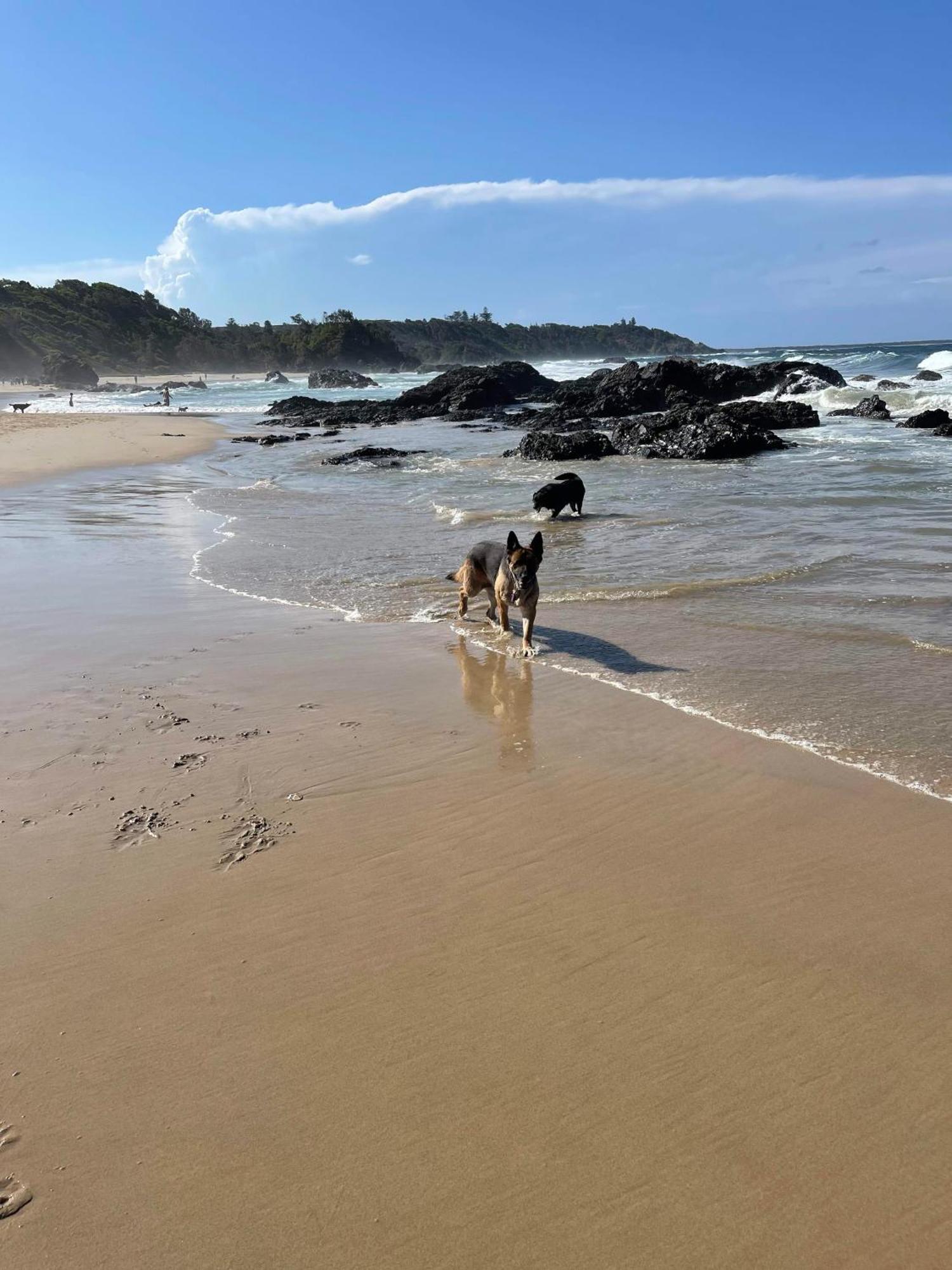 Apartment Ocean Escape Port Macquarie