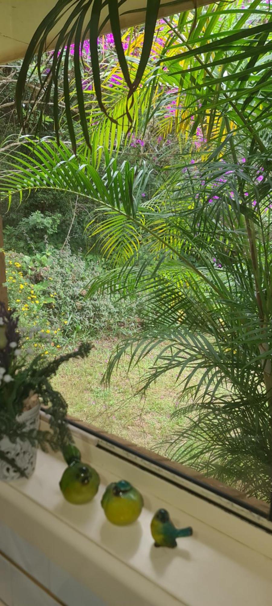 Apartment Rainforest Retreat Guest Granny Flat Port Macquarie