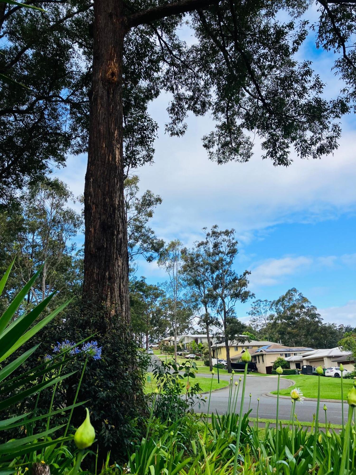 Tranquillity On Point * Port Macquarie