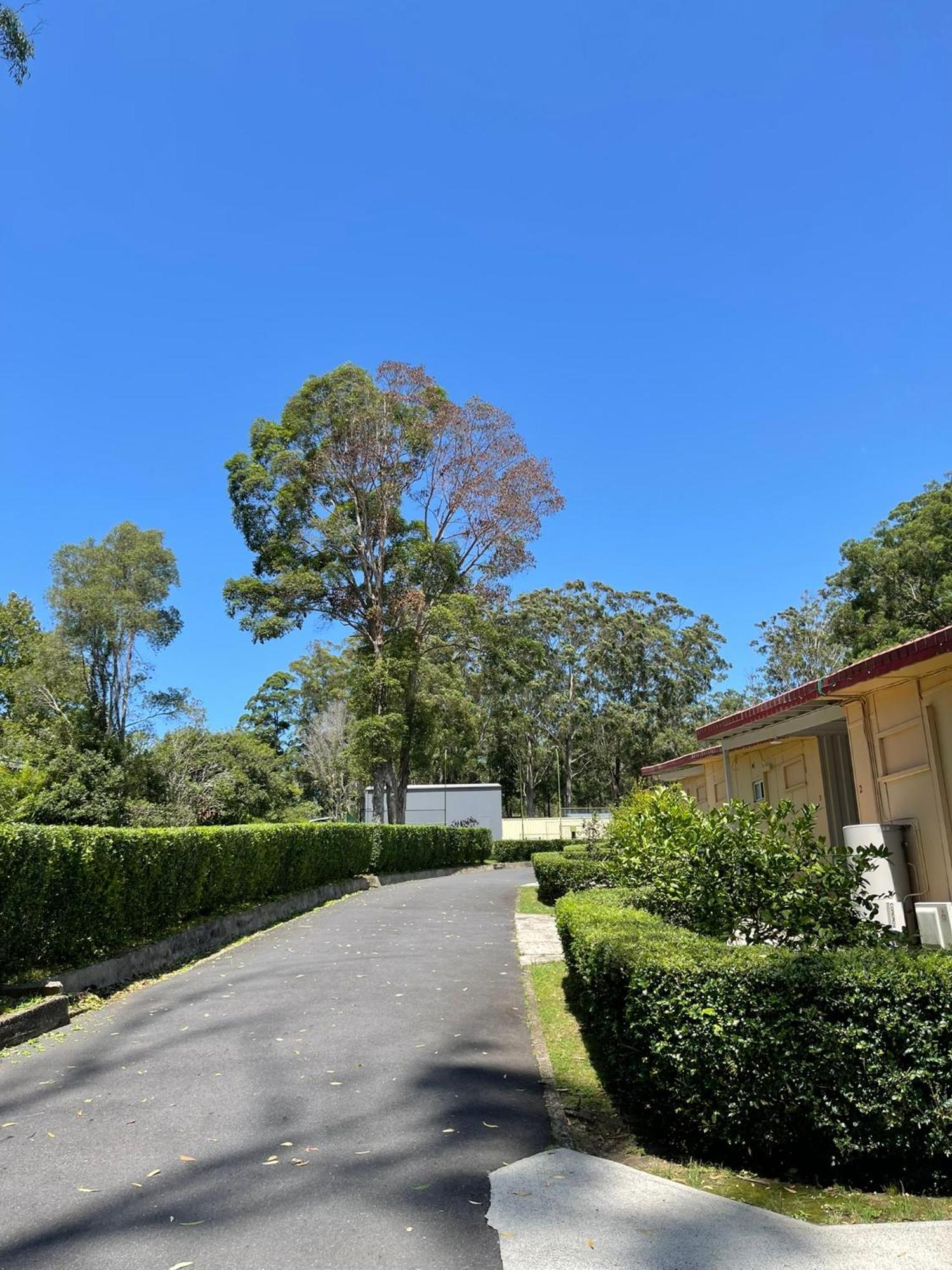 Major Innes Port Macquarie