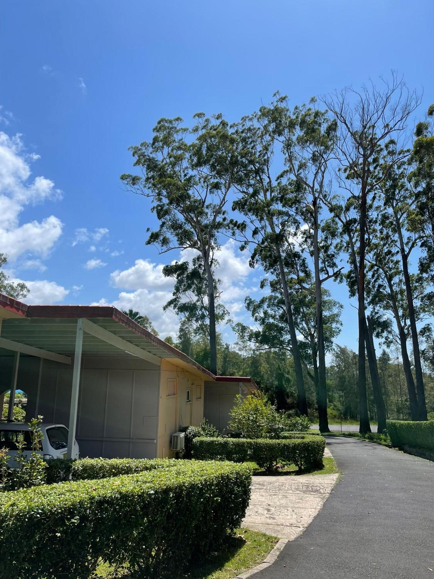 Major Innes Motel 3*