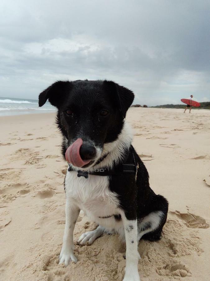 Beachside Backpackers Port Macquarie