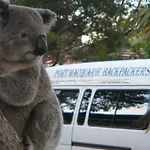 Port Macquarie Backpackers
