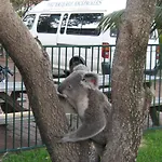 Port Macquarie Backpackers