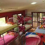 Port Macquarie Backpackers