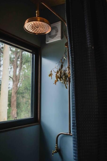 Apartment A Tamed Wilderness Port Macquarie