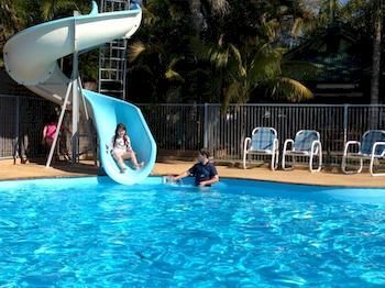 Melaleuca 4*