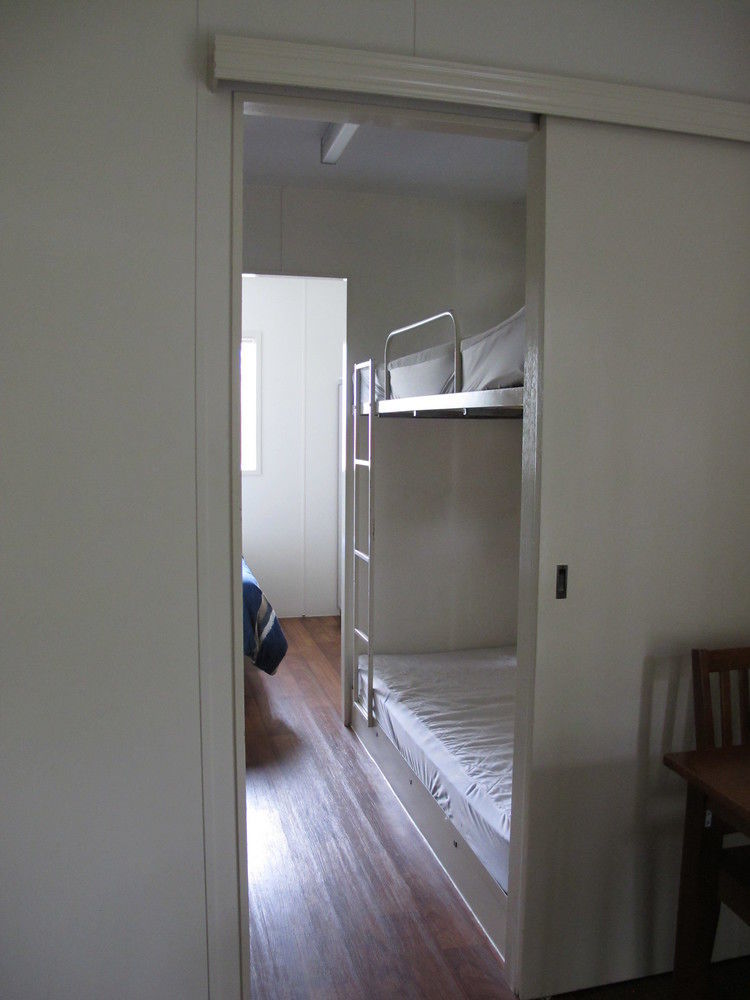 Melaleuca 4*