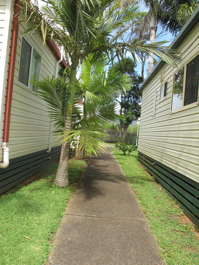 Melaleuca Port Macquarie