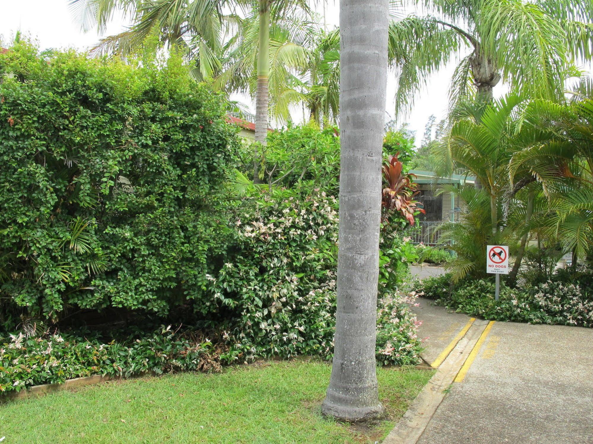 Melaleuca Port Macquarie